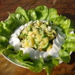 Зелёный салат с редисом